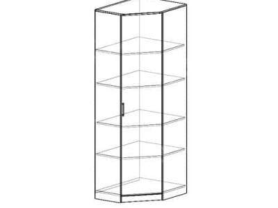 Шкаф угловой 2 (ширина-0,7/0,7м, глубина-0,4м, высота-2,1м)